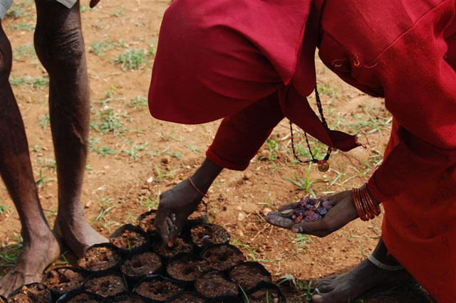 Planting seeds at the Tibetan Rabgyeling Settlement