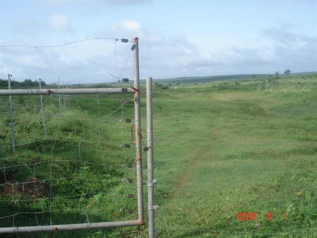The new solar electric fence at the Energy Farming plantation site.