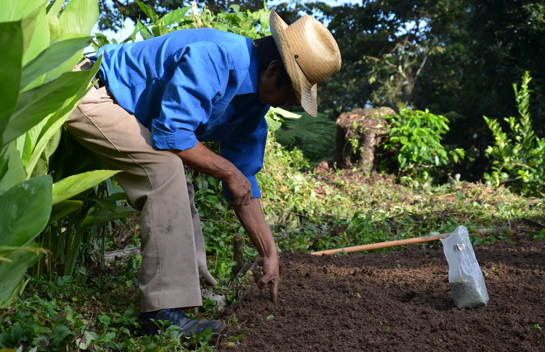 Community Health in Mexico