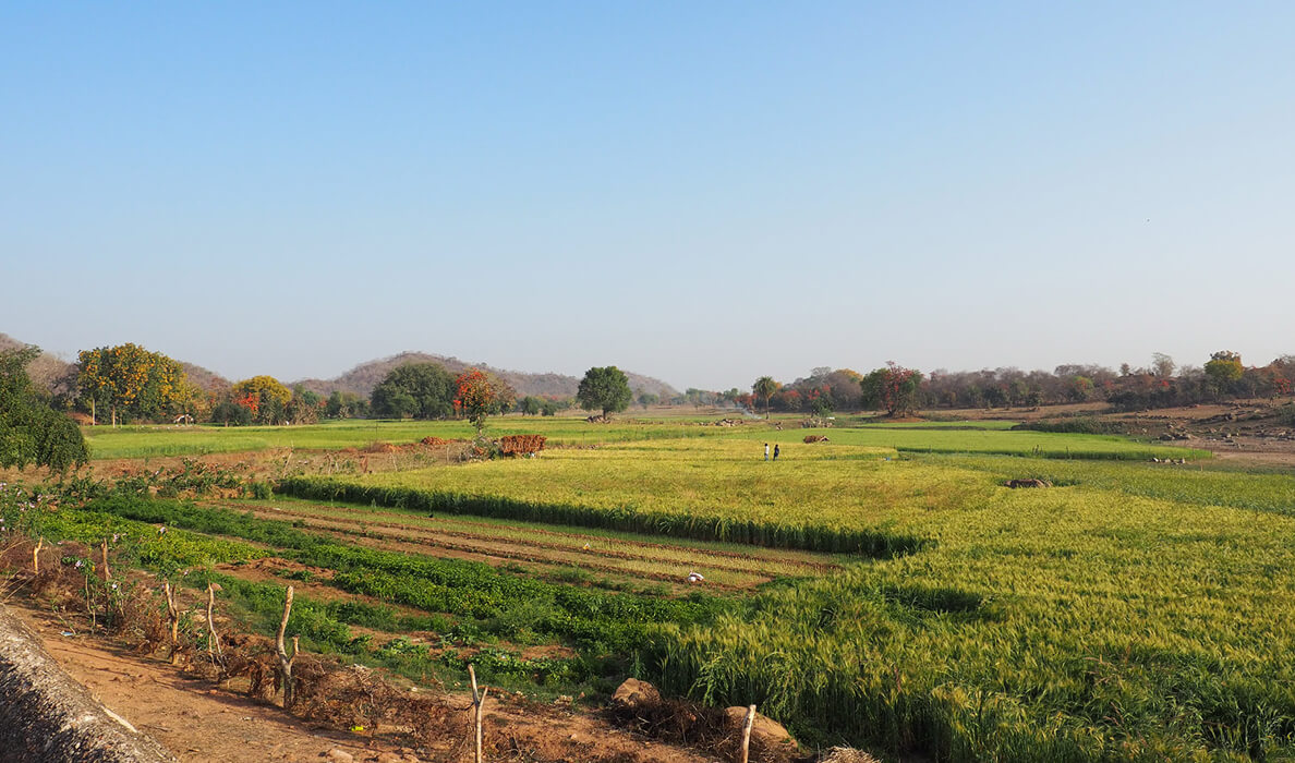 Himalayan Institute in India